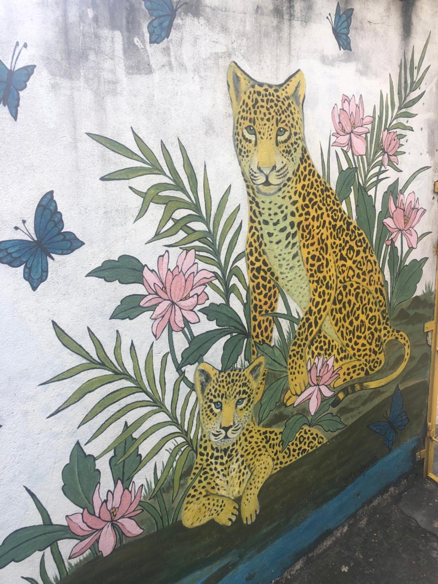 Onca Da Praia Hostel Витория Экстерьер фото